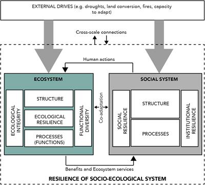 Quantifying resilience of socio-ecological systems through dynamic Bayesian networks